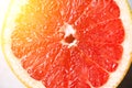 Grapefruit sliced half on grey background. Citrus fruit macro. Copy space, top view. Summer food concept Royalty Free Stock Photo