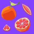 Grapefruit slices icon set on violet backdrop stock vector illustration Royalty Free Stock Photo