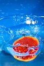 Grapefruit splash. Royalty Free Stock Photo