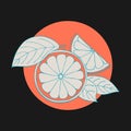 Grapefruit stilyzed hand drawing sketch on color circle, dark background. Label, emblem, logo, icon.