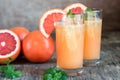 Grapefruit and Tequila Paloma Cocktail Royalty Free Stock Photo
