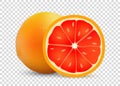 Grapefruit vector illustration of transparent background - Ripe tasty sweet realistic fruit.