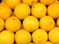 Grapefruits Royalty Free Stock Photo