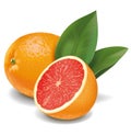 Grapefruits Royalty Free Stock Photo