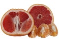 Grapefruits and Mandarines. Royalty Free Stock Photo