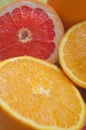 Grapefruits and oranges