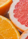 Grapefruits and oranges