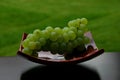 Grapes