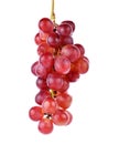 closeup grapes on white background