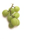 Grapes Royalty Free Stock Photo