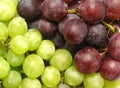 Grapes Royalty Free Stock Photo