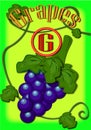 grapes ABC hornbook alphabet Children's