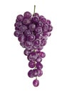 Grapes Royalty Free Stock Photo