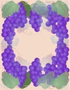 Grapes