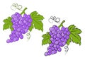 Grapes