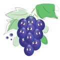 Grapes