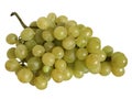 Grapes Royalty Free Stock Photo