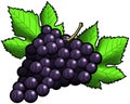 Grapes