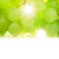 Grapes against the sun Royalty Free Stock Photo