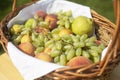 Grapes and apples in basket. Fruits in autumn. Harvest in garden