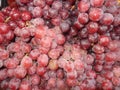 Grapes that aresold in the local markets in the phiippines Royalty Free Stock Photo