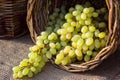 Grapes autumn harvest. Wicker basket with freshly harvested white grapes on burlap background. Royalty Free Stock Photo