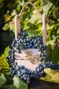 Grapes in a basket Royalty Free Stock Photo