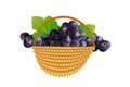 Grapes in basket isolated on white background. Royalty Free Stock Photo