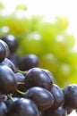 Grapes berry Royalty Free Stock Photo