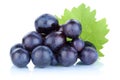 Grapes blue fresh fruits fruit Royalty Free Stock Photo