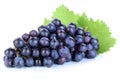 Grapes blue fruits fruit isolated on white Royalty Free Stock Photo