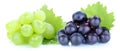 Grapes blue green fruits isolated on white