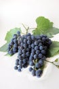 Grapes Royalty Free Stock Photo