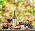 Grapes, bottle of wine and different cheeses on country wooden table and blurred colorful autumn background. Variety of products