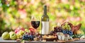 Grapes, bottle of wine and different cheeses on country wooden table and blurred colorful autumn background. Variety of products