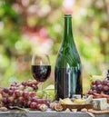 Grapes, bottle of wine and different cheeses on country wooden table and blurred colorful autumn background. Variety of products