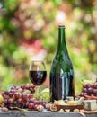 Grapes, bottle of wine and different cheeses on country wooden table and blurred colorful autumn background. Variety of products