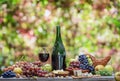 Grapes, bottle of wine and different cheeses on country wooden table and blurred colorful autumn background. Variety of products