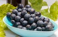 Grapes in a bowl with grape leaves Royalty Free Stock Photo
