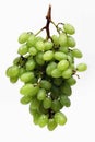 Grapes(bunch)