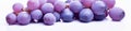 grapes bunch on white background Royalty Free Stock Photo