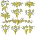 grapes bunches set