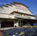 Grapes at the cave cooperative Royalty Free Stock Photo