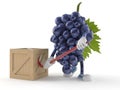 Grapes character with crate Royalty Free Stock Photo