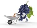 Grapes character with wheelbarrow