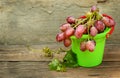 Grapes in a children's plastic bucket