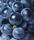 Grapes close up Royalty Free Stock Photo