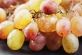 Grapes closeup