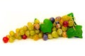 Grapes cluster Royalty Free Stock Photo