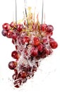 Grapes cluster in water splashes Royalty Free Stock Photo